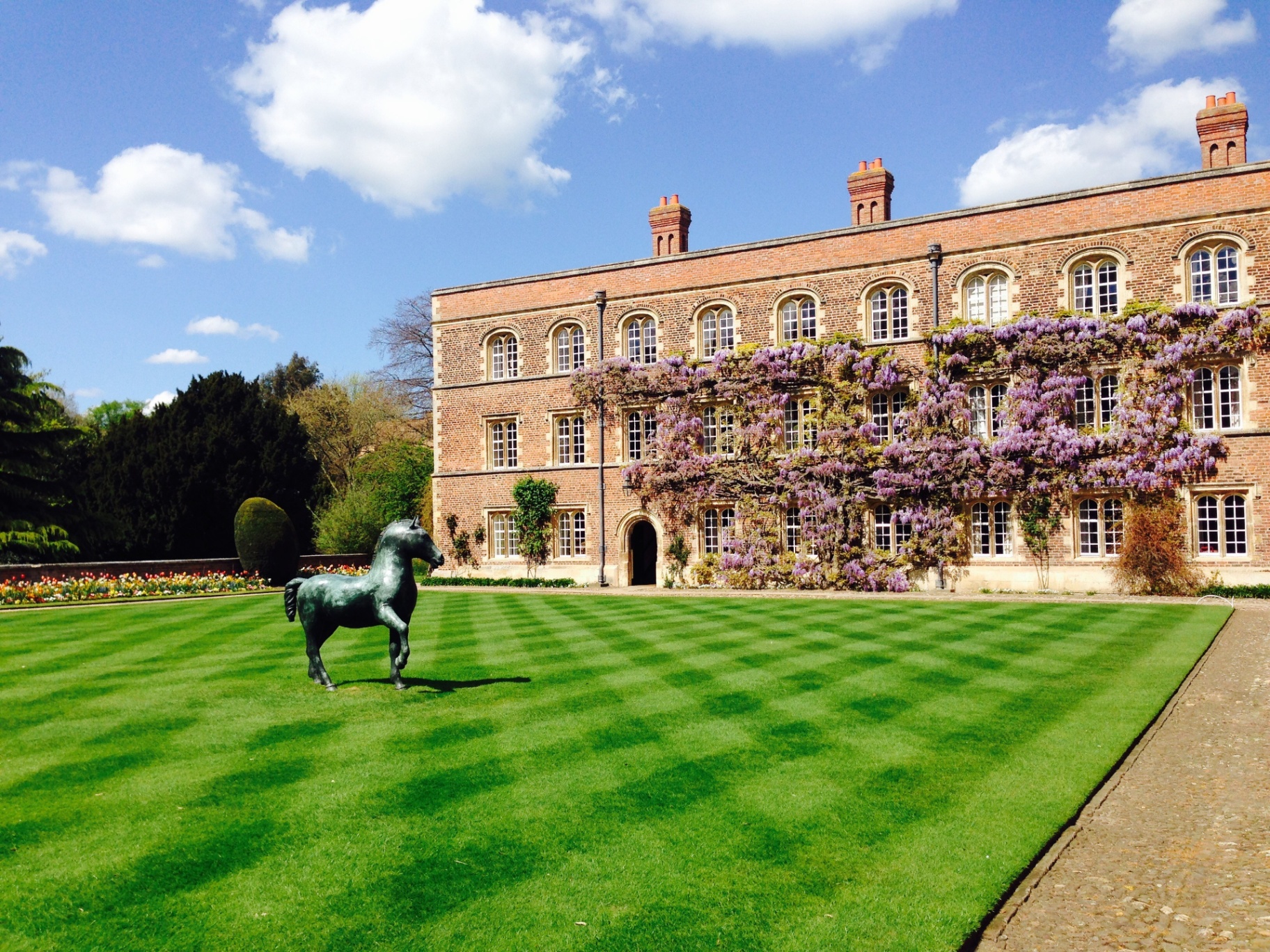 Jesus College courtyard with wisteria and bronze horse
